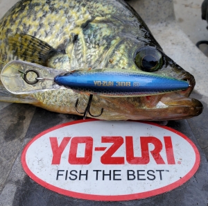 Yo-Zuri Hardcore Crank MR  Florida Fishing Outfitters - Florida