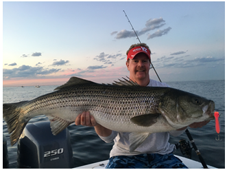 Striper Fishing at its Finest with the Yo-Zuri Surface Cruiser