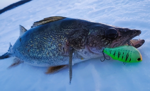Pike Perch Fish Hooks Winter Fishing Trembling VIB Baits Minnow Lures